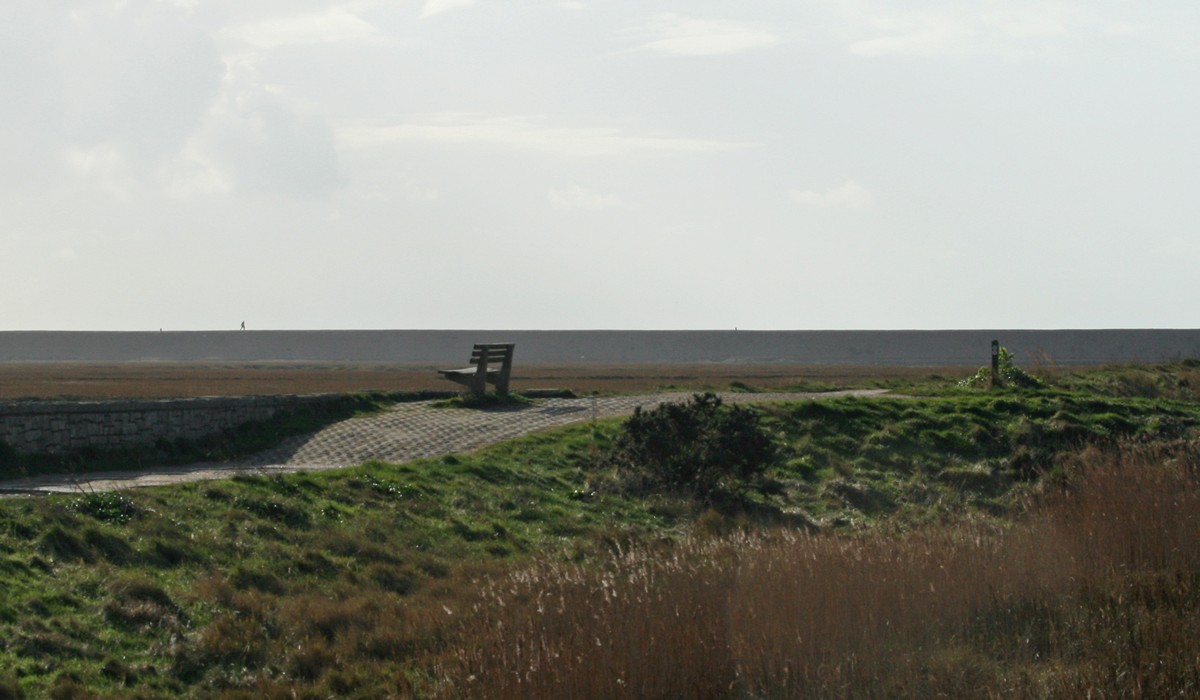 Our Keyhaven bench, Feb 2008