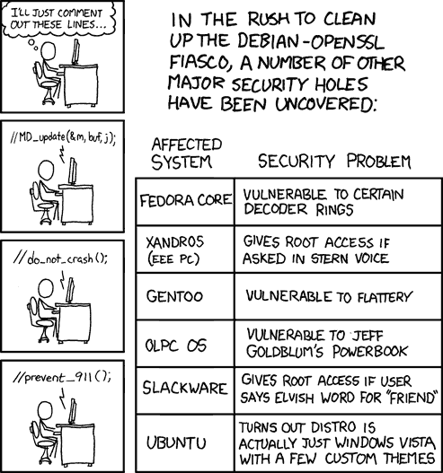 Security holes