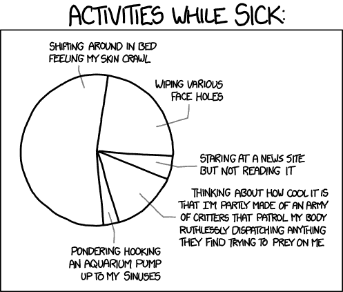 XKCD activities