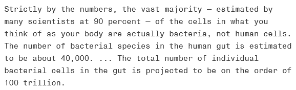 Bacteria r Us