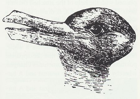 Rabbit or duck?