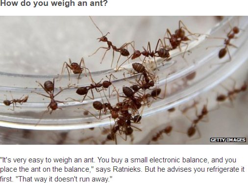 Weighing an ant