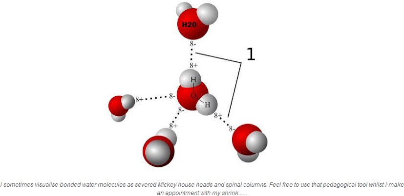 the memory of water molecules