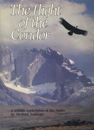 Flight of the Condor